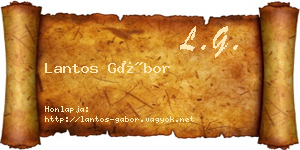 Lantos Gábor névjegykártya